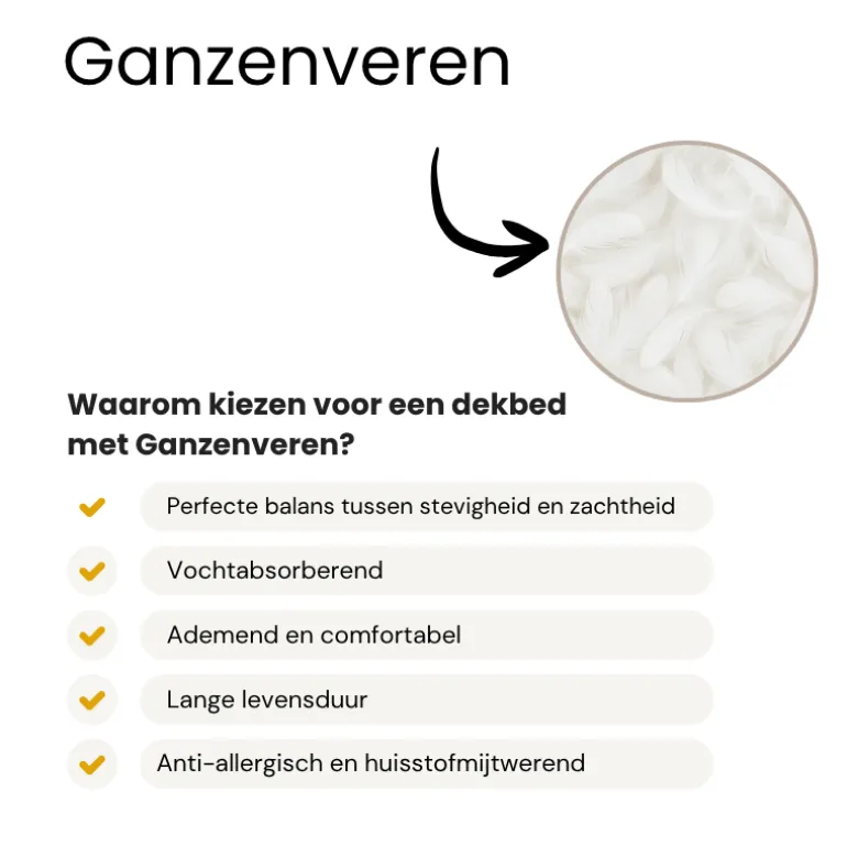 Dekbed Dons - 80% Ganzenveren - 4 Seizoenen