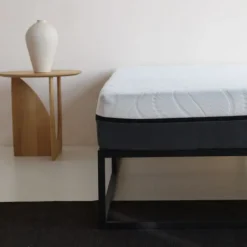 Matras Zydante Novum